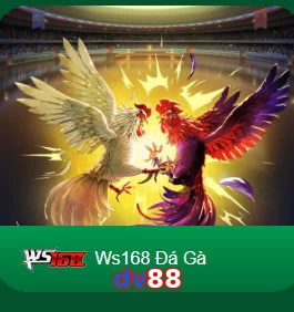 dv88
